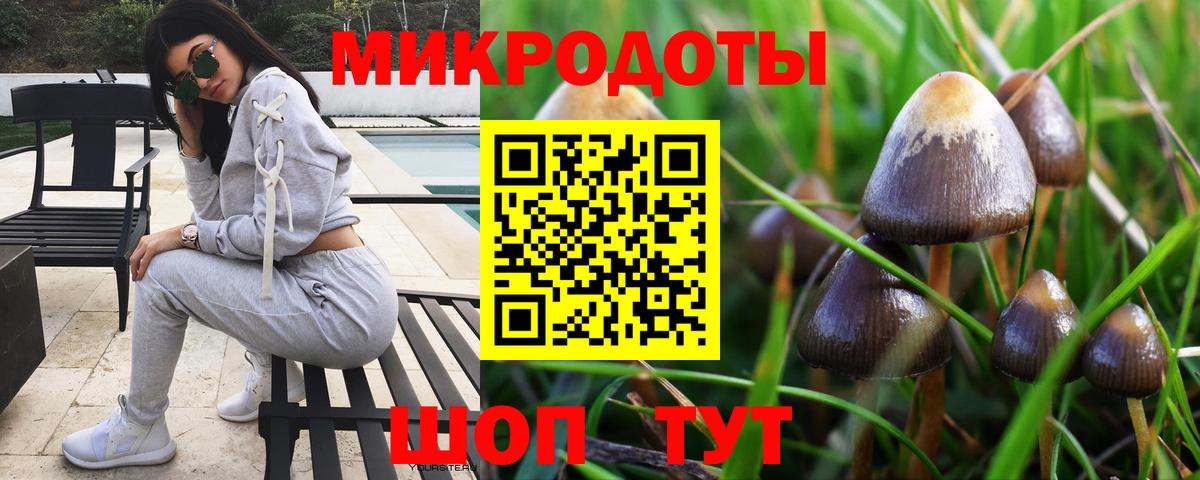 Балашиха  Галлюциногенные грибы Magic Shrooms  Вход с VPN  Псилоцибиновые грибы MAGIC MUSHROOMS 