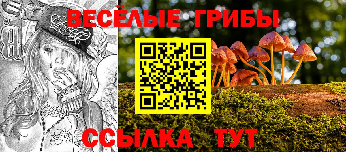 Псилоцибиновые грибы Psilocybe  Балашиха 